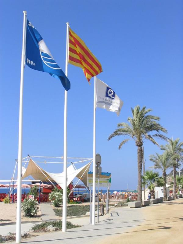 Apartamento Precioso y económico estudio en Calella Exterior foto