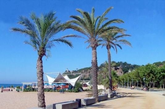 Apartamento Precioso y económico estudio en Calella Exterior foto